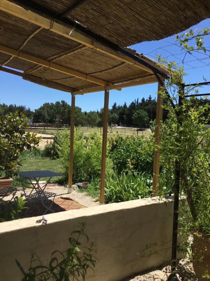 Le Jardin Du Castillon Paradou Εξωτερικό φωτογραφία