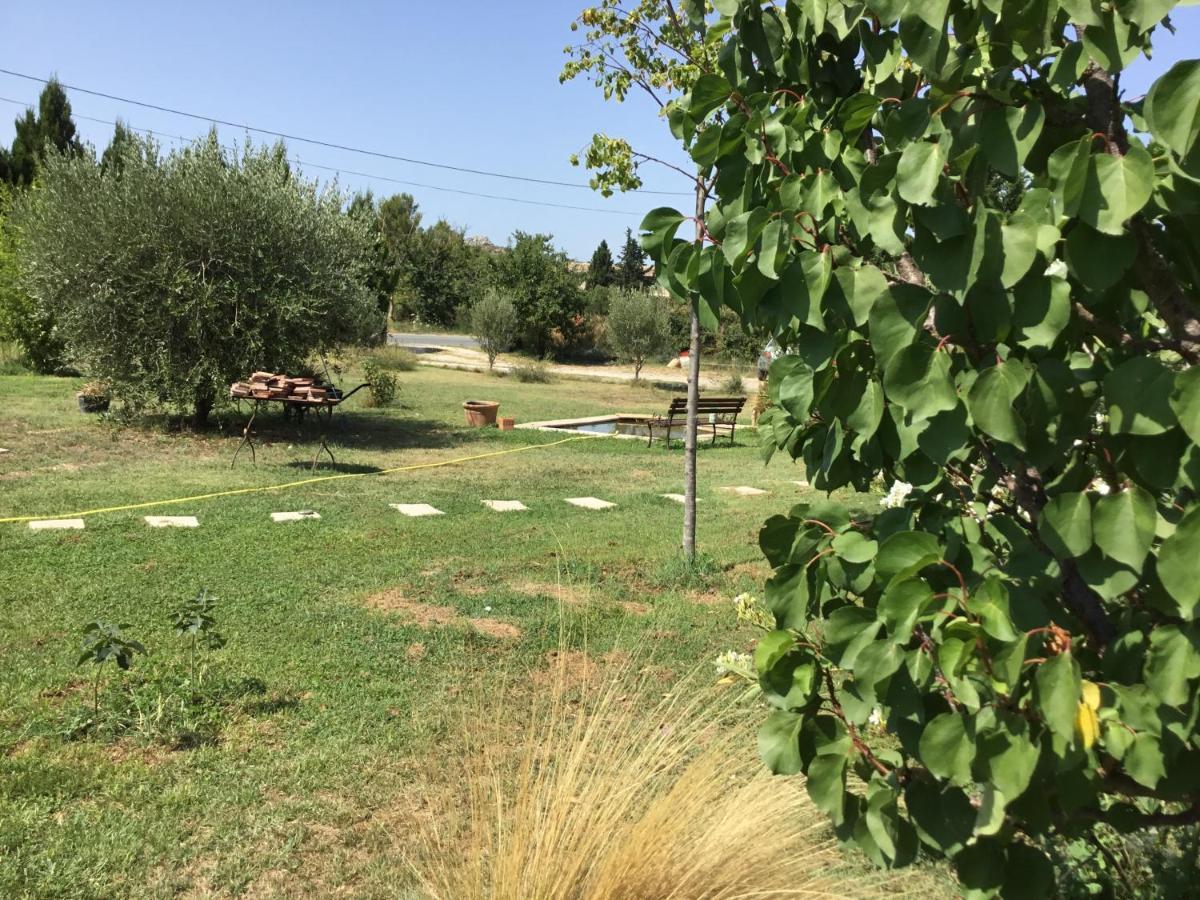 Le Jardin Du Castillon Paradou Εξωτερικό φωτογραφία
