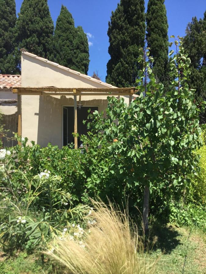 Le Jardin Du Castillon Paradou Εξωτερικό φωτογραφία