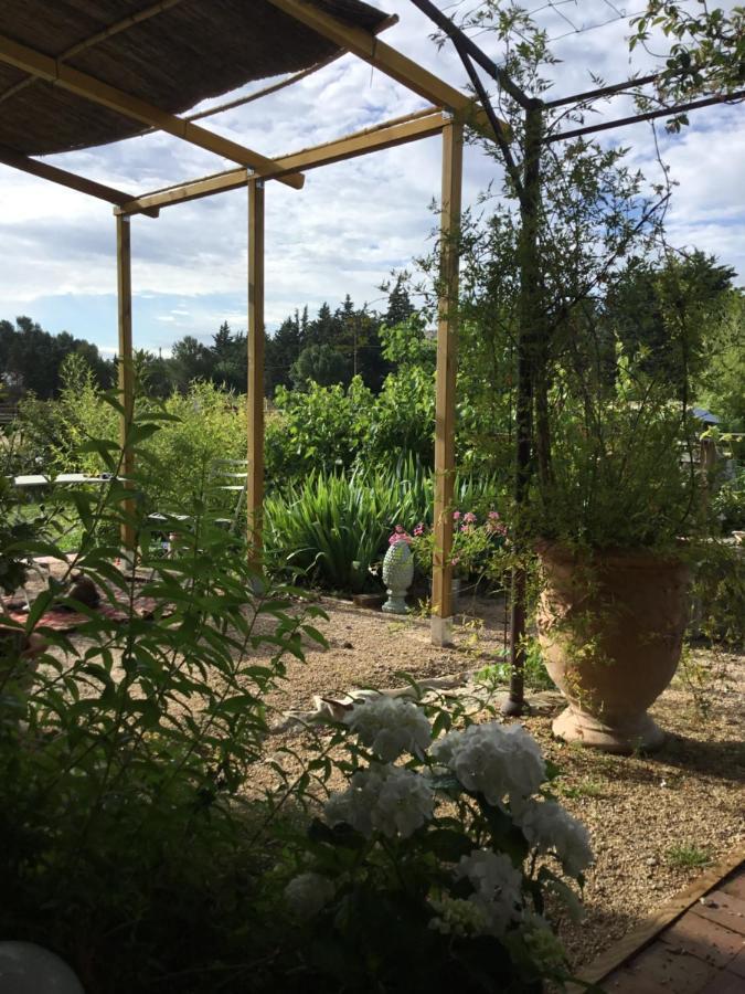 Le Jardin Du Castillon Paradou Εξωτερικό φωτογραφία